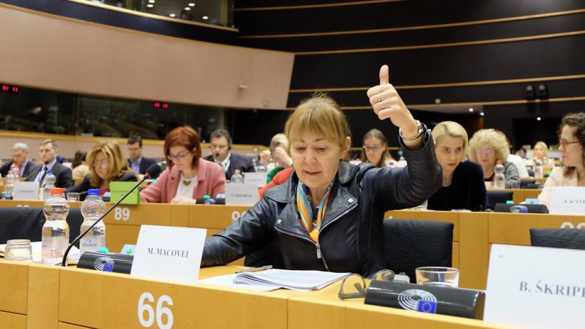 cu ce avere pleaca monica macovei din parlamentul european dupa 10 ani