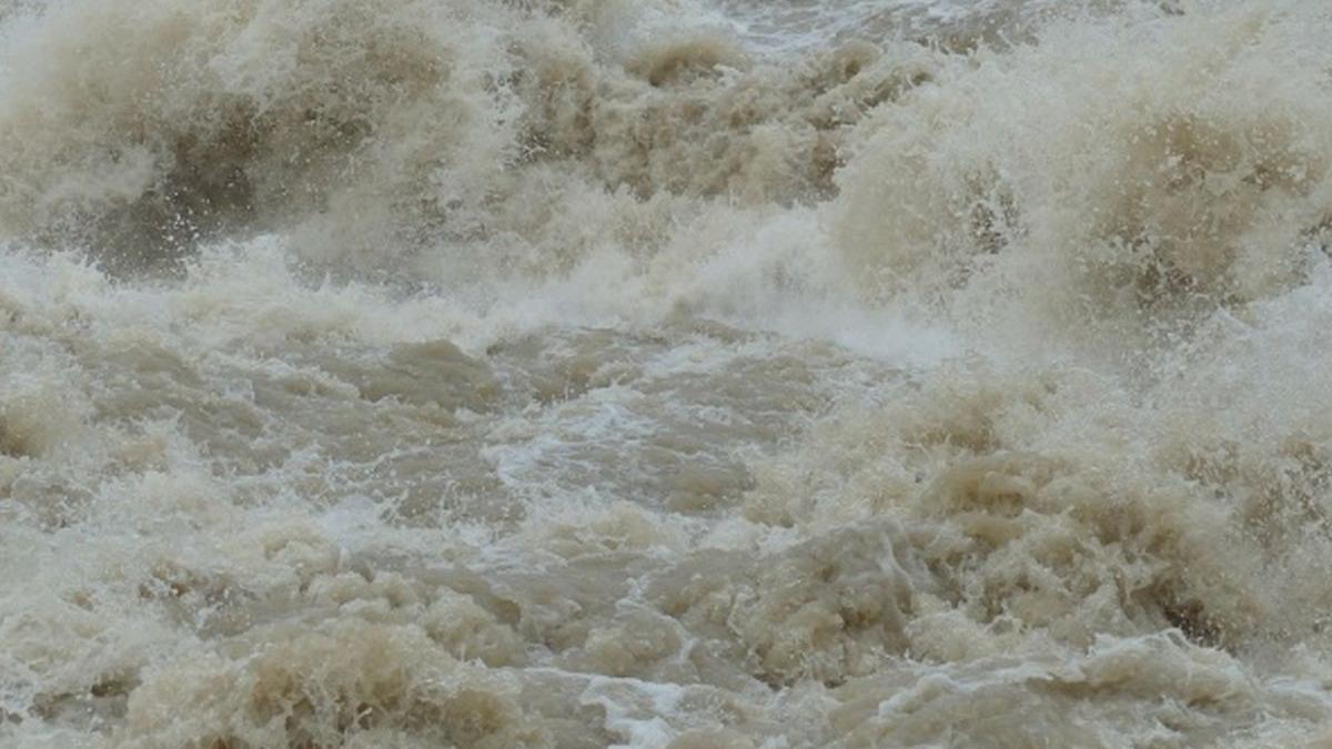 dunarea a atins cota de inundatii in portul giurgiu