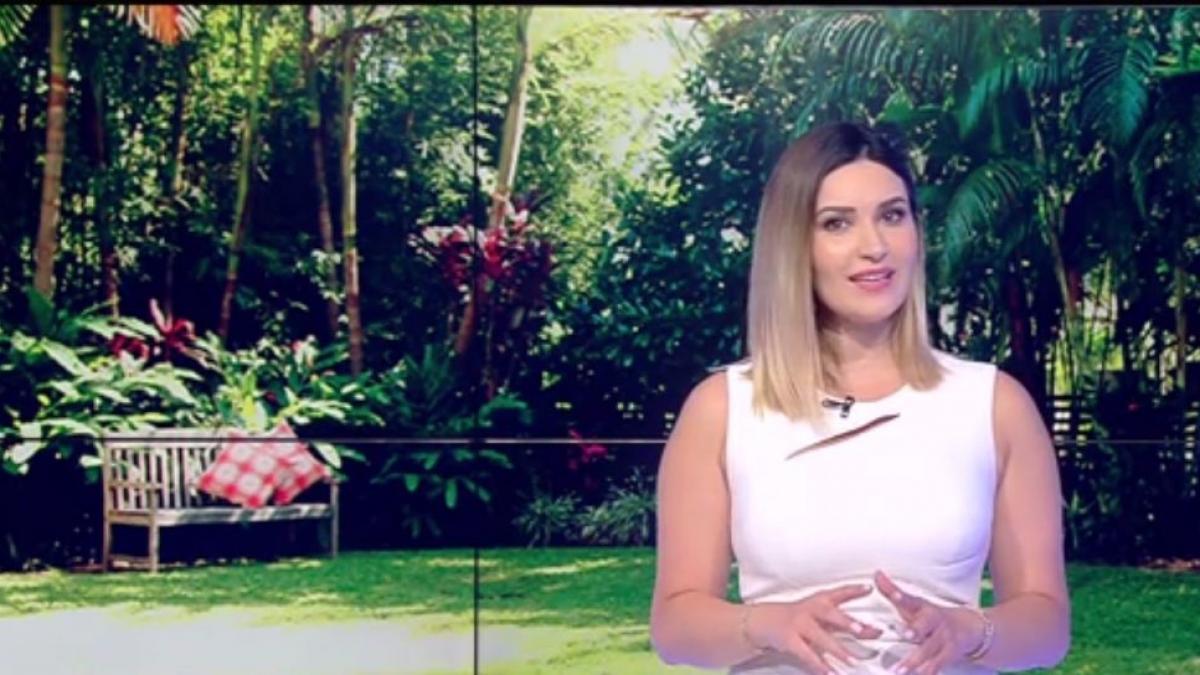 numai de bine cum ingrijim plantele tropicale chiar la noi acasa