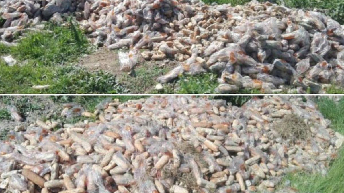 poluare pe banii guvernului cornurile pentru copii aruncate pe malul raului