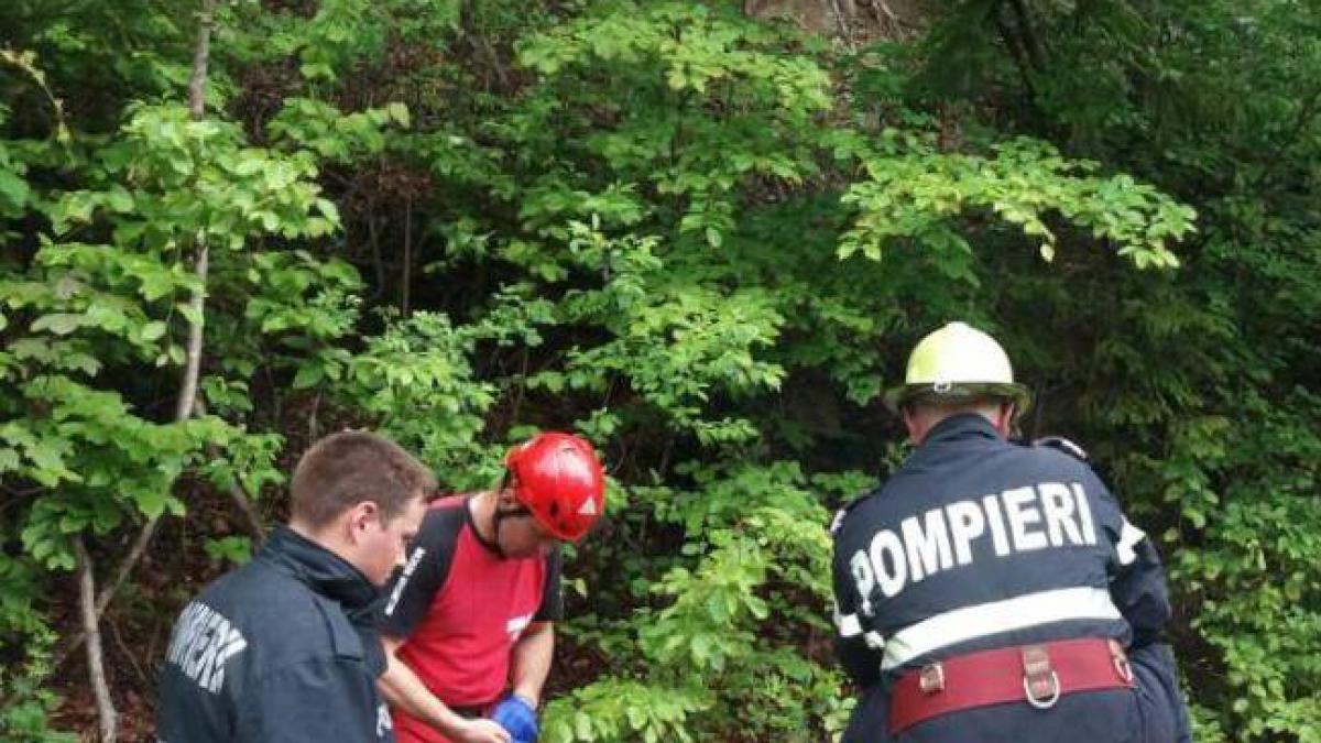 pompierii de la isu au primit un telefon urgent veniti repede ca geme de durere saracul cand l au