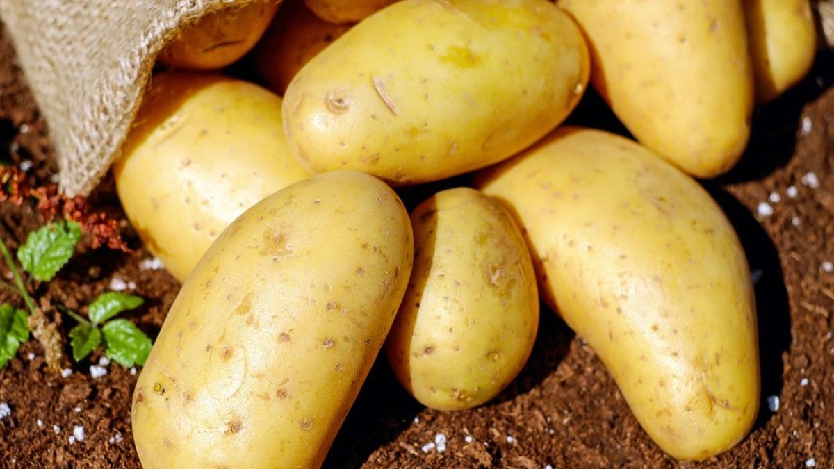 cartofii s au scumpit cel mai mult in mai fata de aprilie topul scumpirilor continua cu citricele