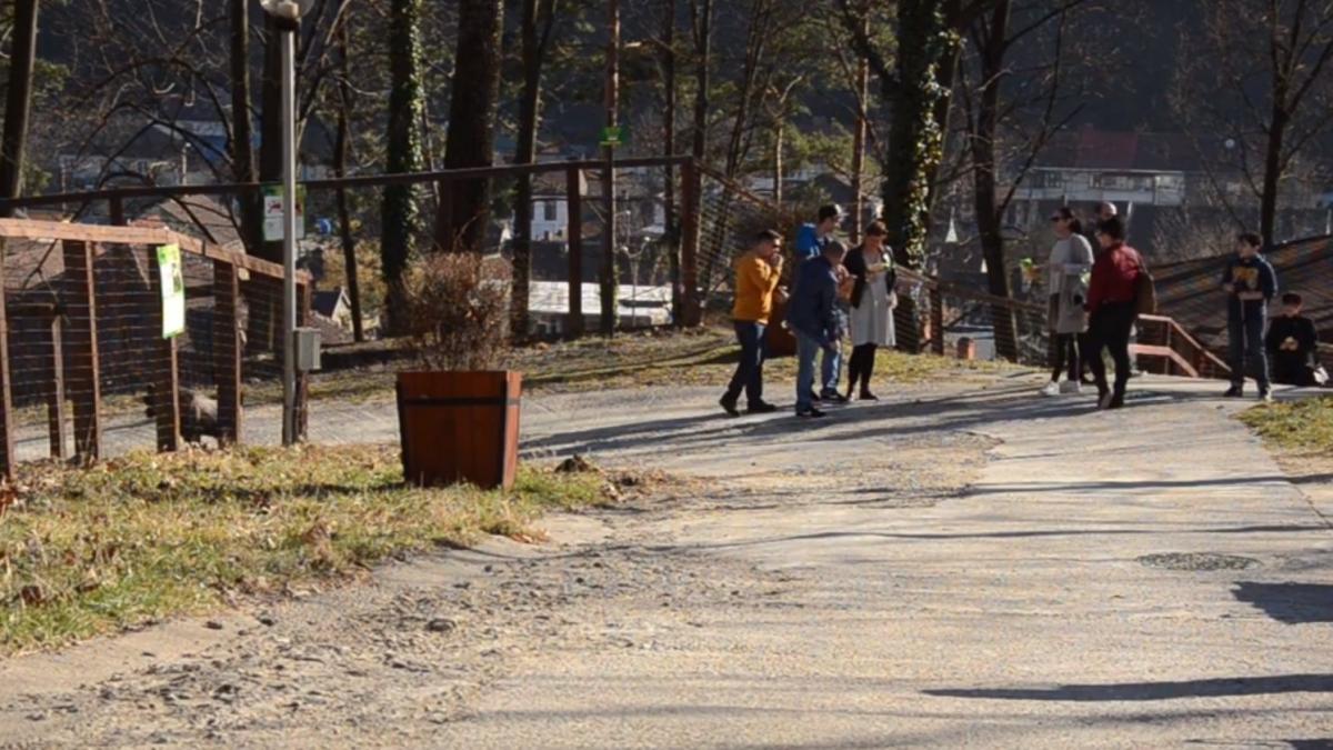 momente de groaza pentru zeci de copii la gradina zoo din resita au fost prinsi de o furtuna