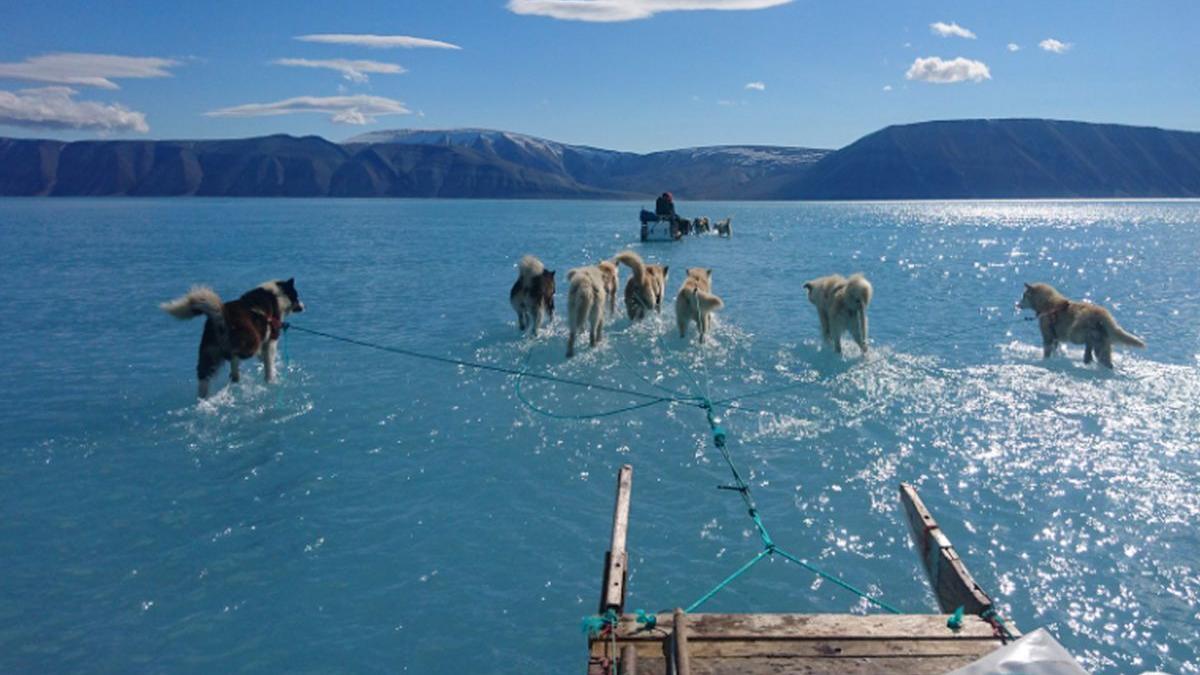 aceasta fotografie face inconjurul lumii ce se intampla in groenlanda