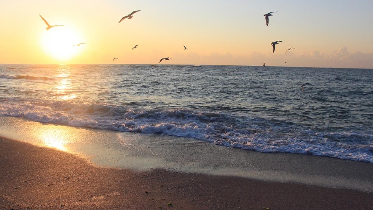 trupul neinsufletit al unei femei vazut in marea neagra motivul pentru care scafandrii nu au putut