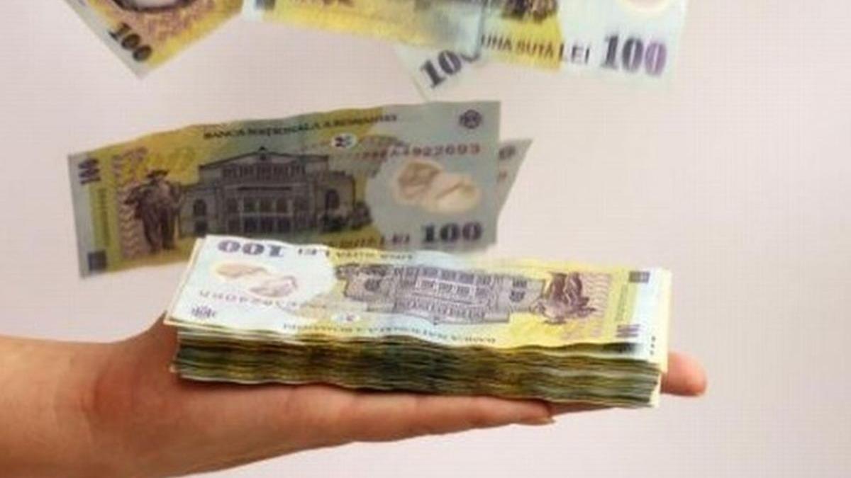 a fost amendat cu 60 000 de lei dar un timisorean a gasit solutia ideala sa scape de plata