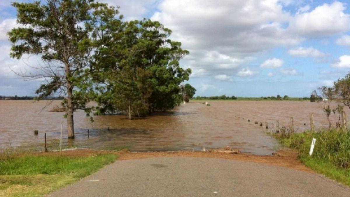 autoritatile sunt in alerta e cod rosu de inundatii pe rauri din judetul timis