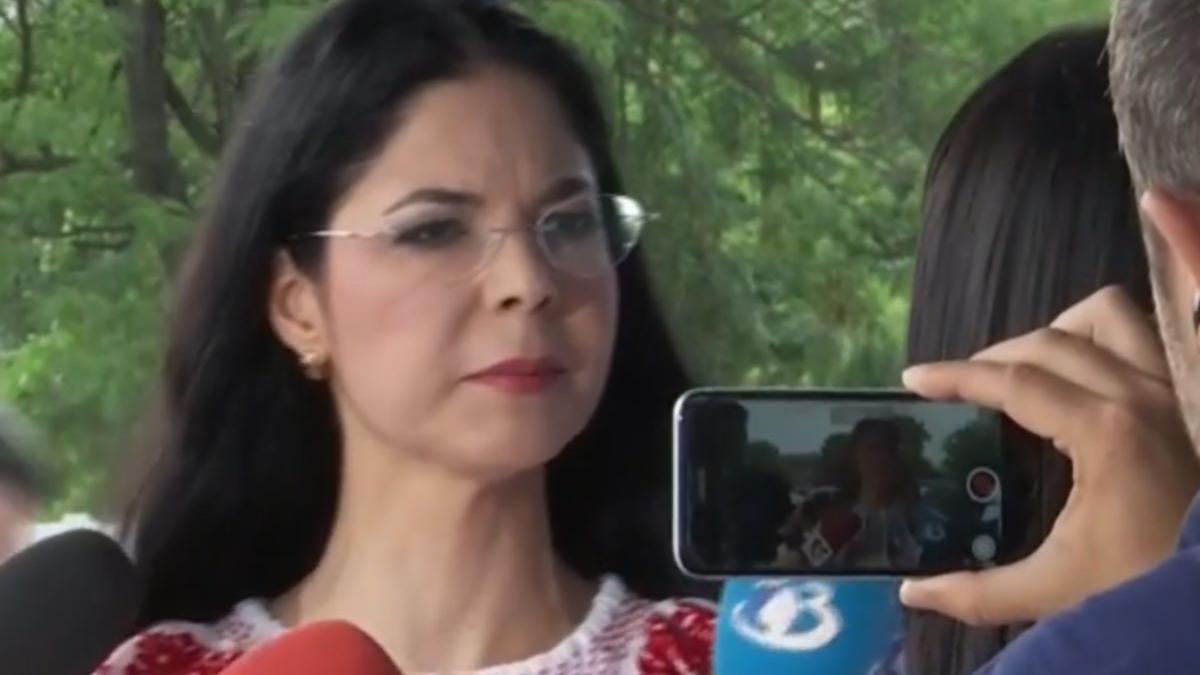 ministrul justitiei ana birchall despre cazul micutei adoptate e absolut normal ca fetita sa ramana