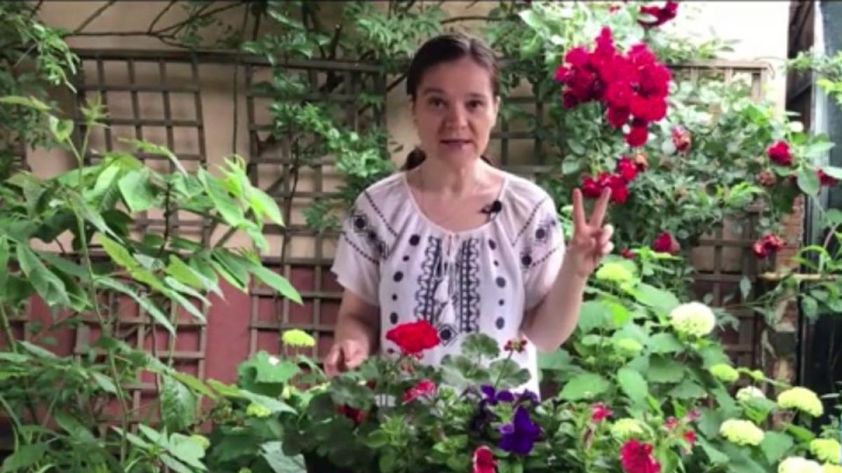 sfaturi pretioase pentru muscate de invidiat