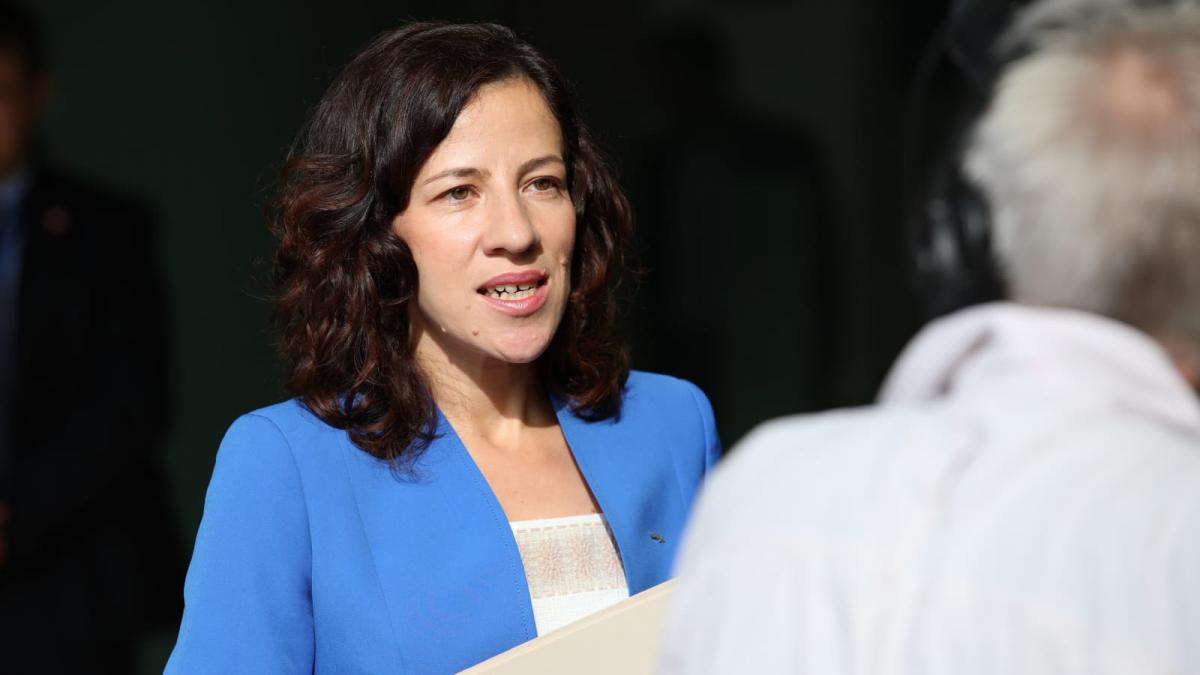 roxana minzatu au fost obtinute progrese substantiale in lunile care au trecut in domeniul