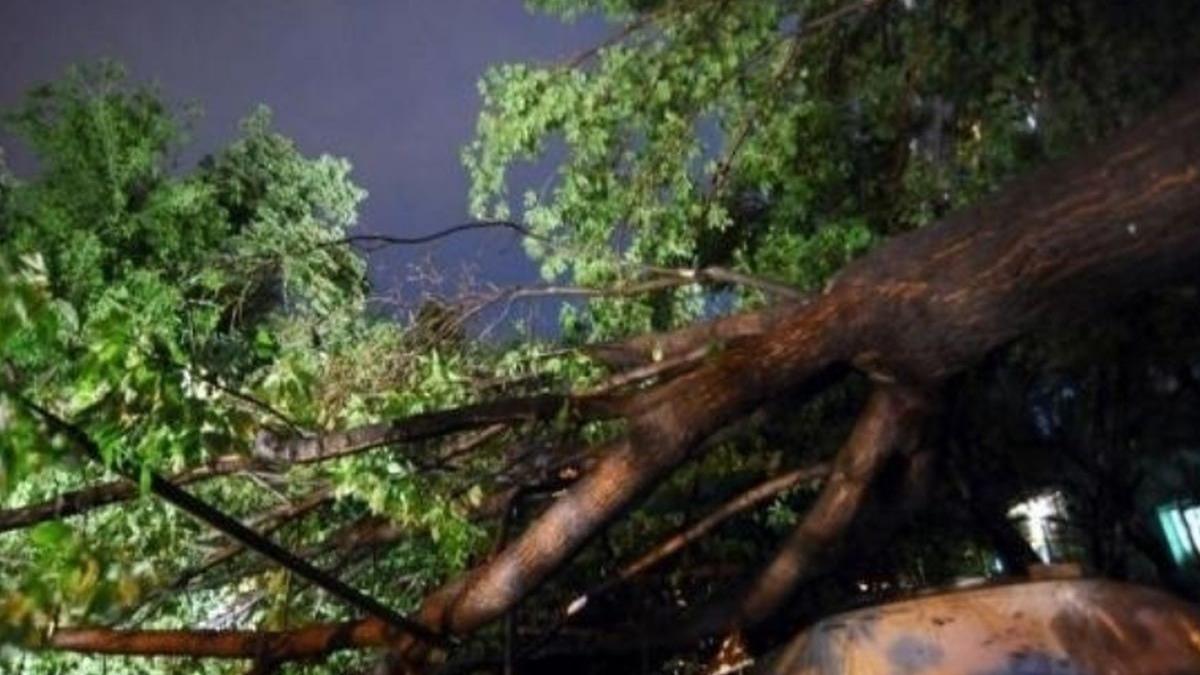 fenomene meteorologice periculoase in 40 de localitati din tara copaci cazuti si masini avariate