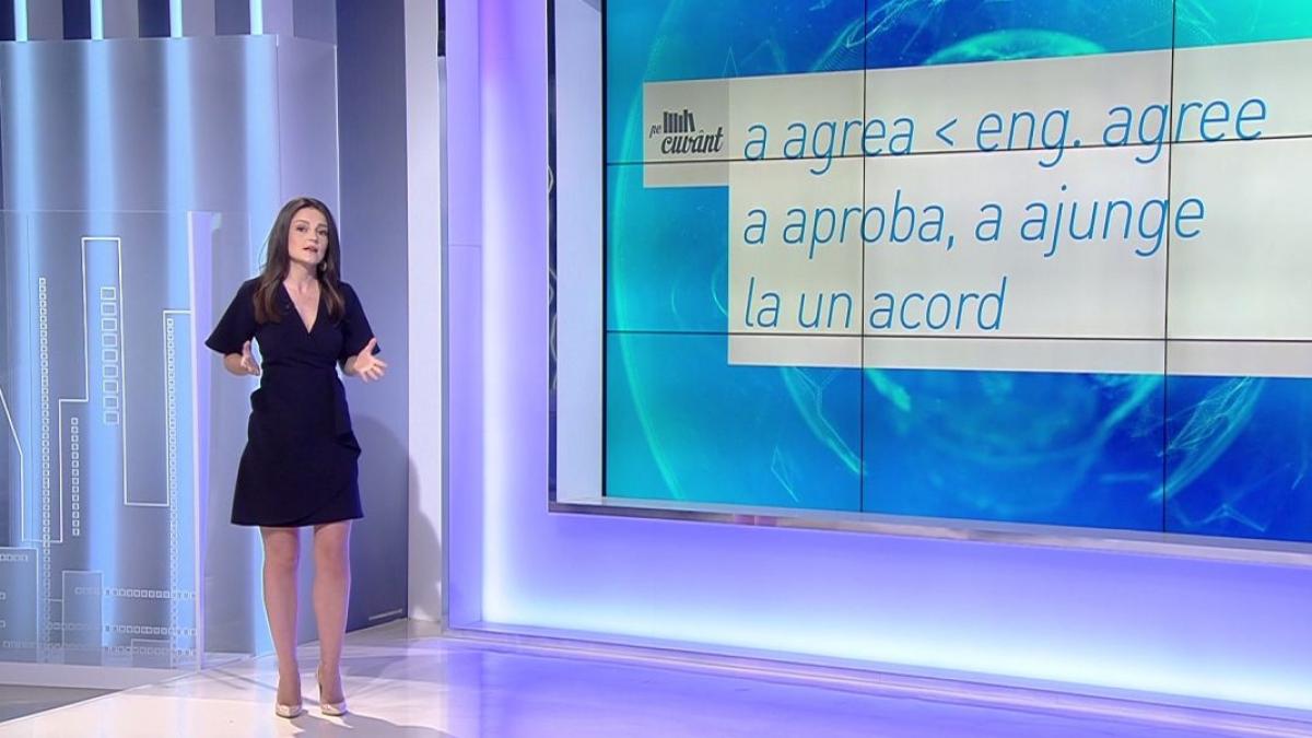 pe cuvant cu ana iorga sensurile cuvantului agrement