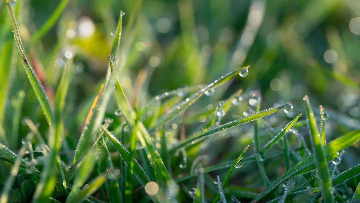 prognoza meteo pentru joi 27 iunie vesti proaste de la meteorologi