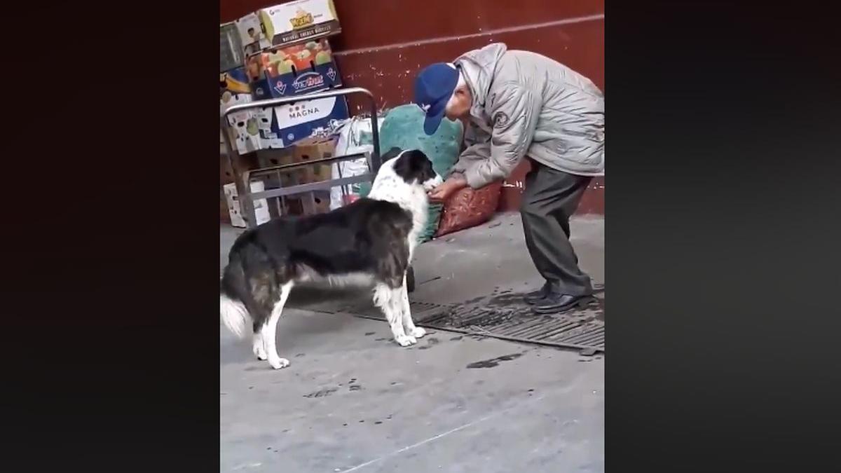 oamenii care au cel mai putin ofera cel mai mult clipul video care i a impresionat pe internauti