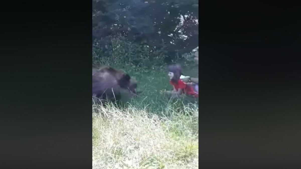 imagini socante surprinse in romania un copil hraneste un urs de la doar cativa centimetri
