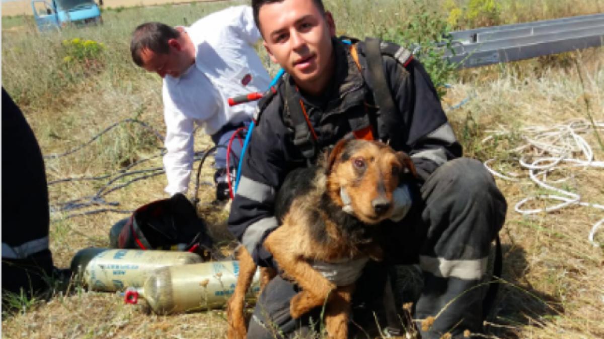 operatiune de salvare impresionanta a pompierilor dupa mari eforturi au resit sa salveze viata unui