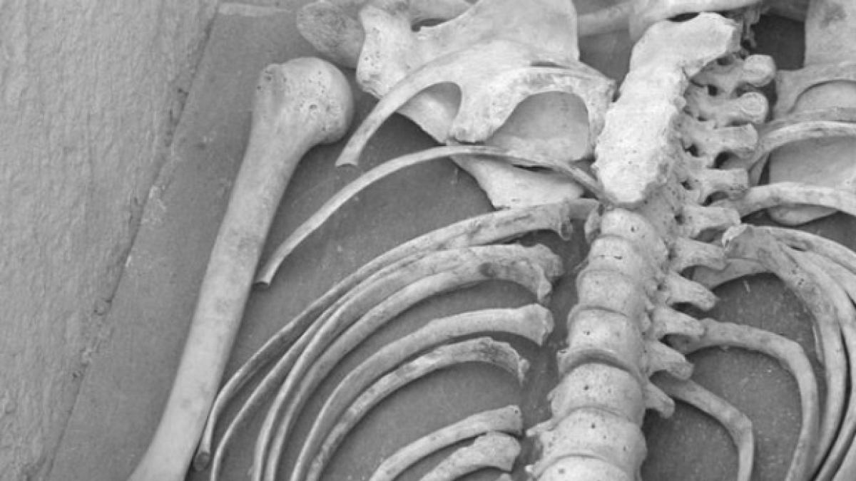 dosar penal in cazul osemintelor gasite in apropierea gropii comune de la vulturi