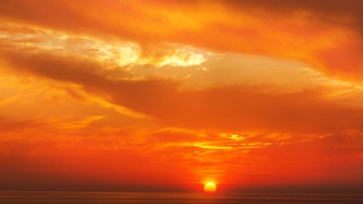 canicula face prima victima in brasov un om al strazii a fost gasit fara suflare sub un copac