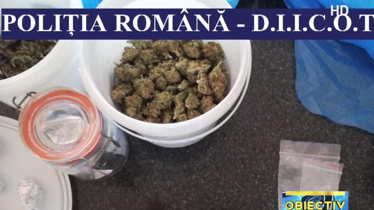 diicot captura impresionanta de droguri patru tineri din cluj mergeau cu 10 kilograme de droguri la