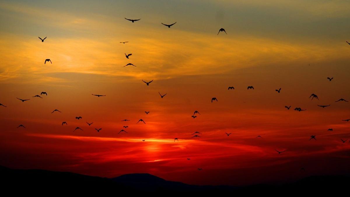 vreme racoroasa in aproape toata tara vezi prognoza meteo pentru zilele urmatoare