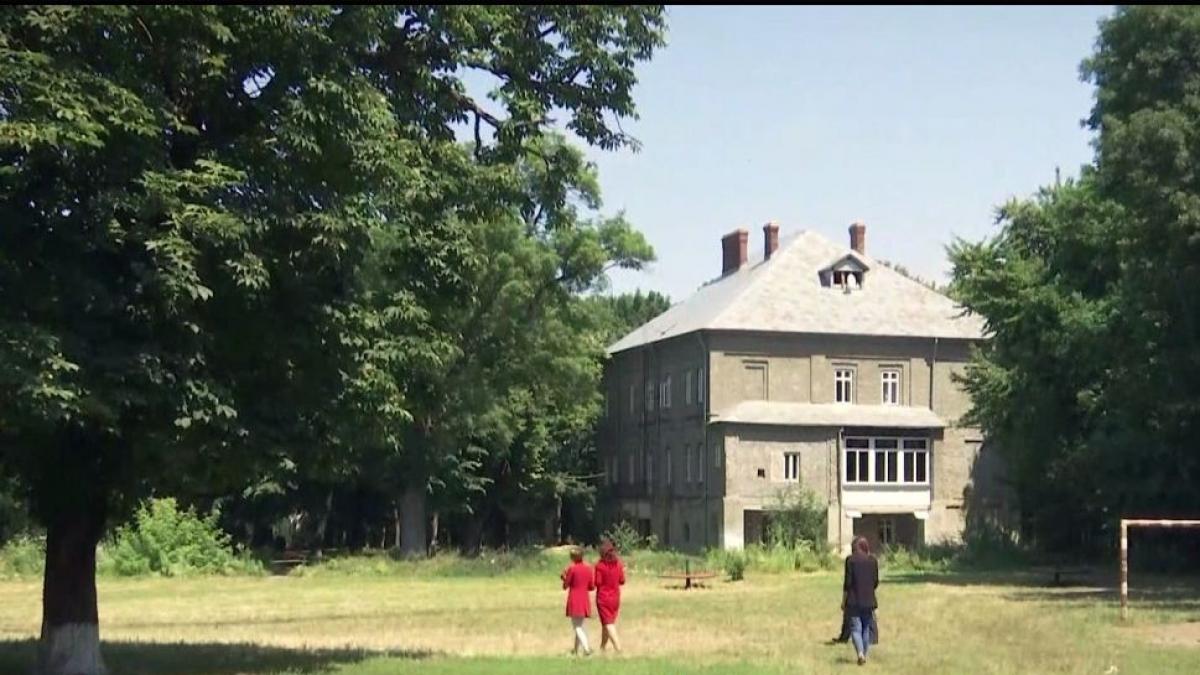 copaci de 100 de ani taiati la ordinul primariei