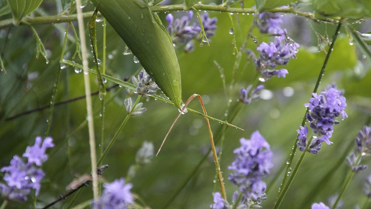 vremea prognoza meteo pentru miercuri 10 iulie vesti extrem de proaste de la meteorologi
