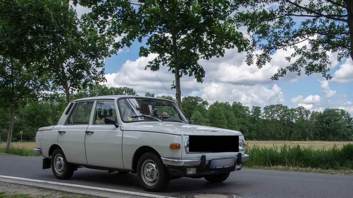 soferii care treceau pe un drum din judetul vaslui au crezut ca nu vad bine la marginea drumului se