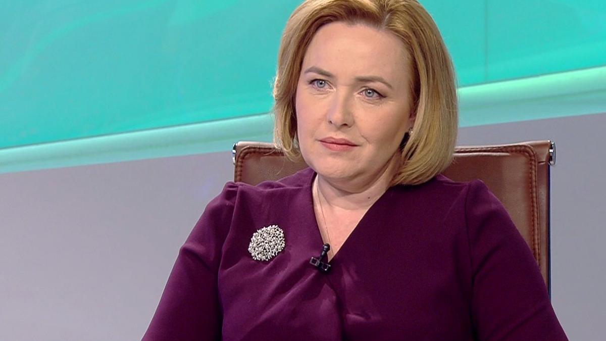 carmen dan si a dat demisia din functia de ministru de interne