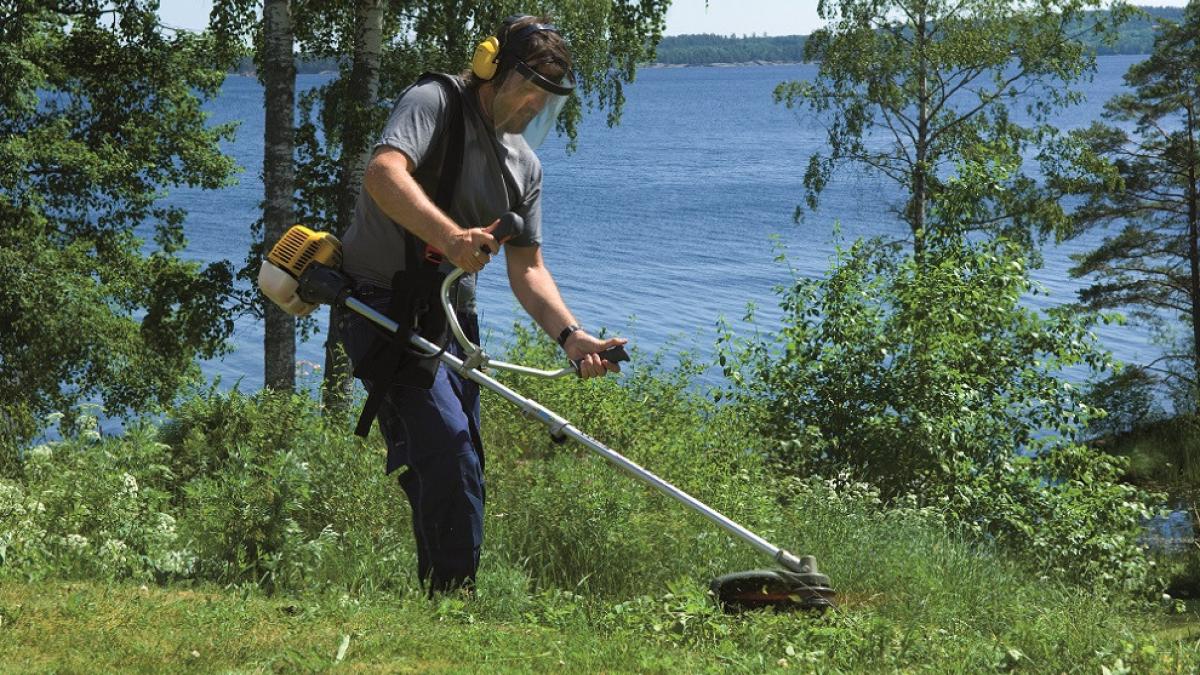reduceri emag motocoase masini iarba