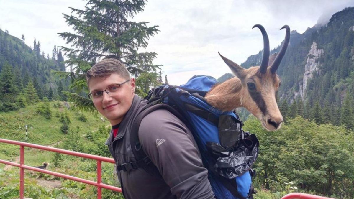 turistii aflati la cabana din rasnov au vazut o capra neagra cum se apropie de ei si au dat seama