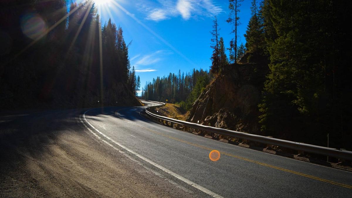 mergeau pe o sosea din romania cand au oprit brusc era chiar in fata lor e incredibil rar iti e dat