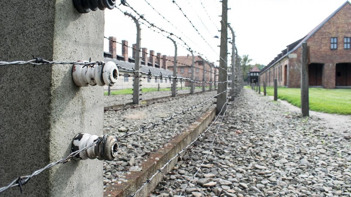 peste 8000 de evrei romani ce au fost victime ale holocaustului vor fi despagubiti de guvernul