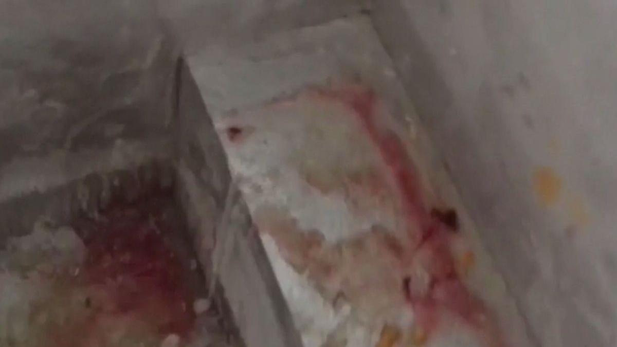 amenzi de peste 700 000 de lei imagini dezgustatoare din bucatariile de pe litoralul romanesc