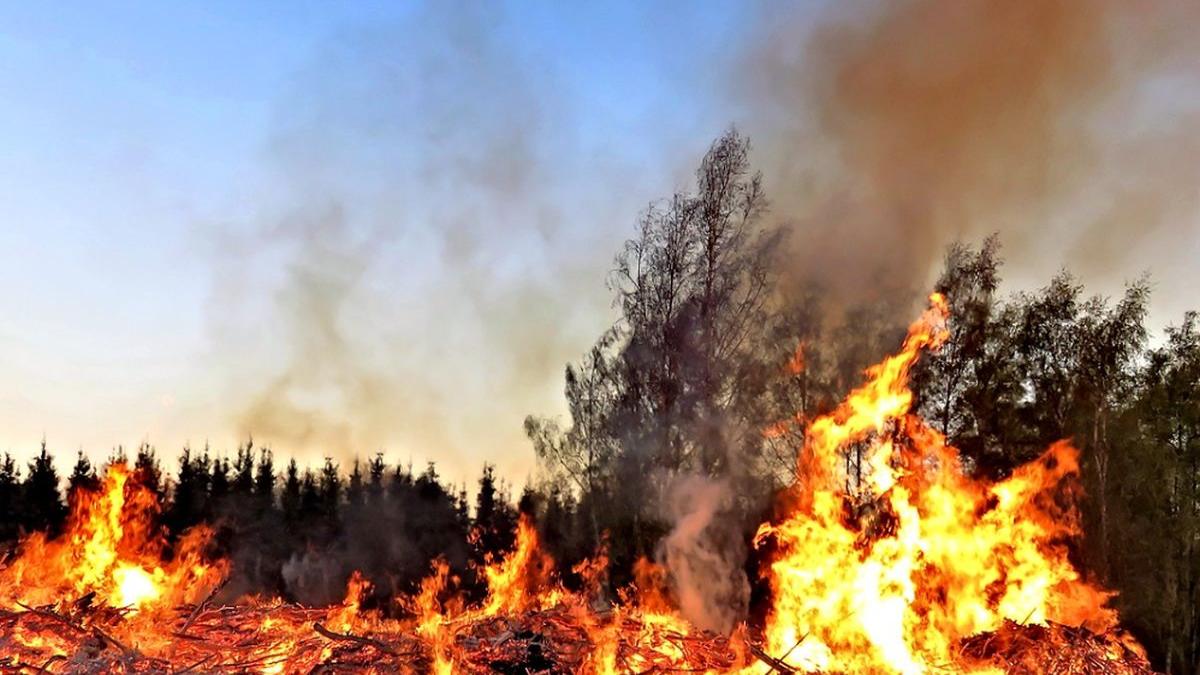 canicula continua sa provoace dezastre in destinatii turistice importante din europa este risc de