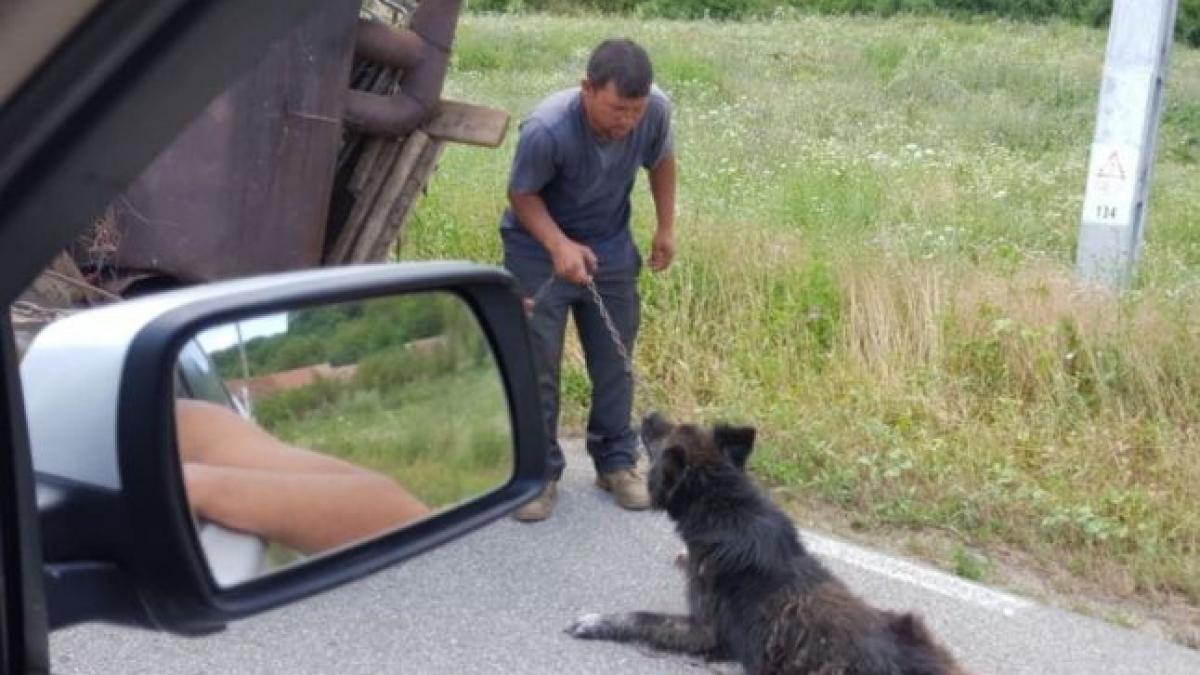 a postat un mesaj pe facebook pentru a implora salvarea unui caine maltratat e nevoie de un om va