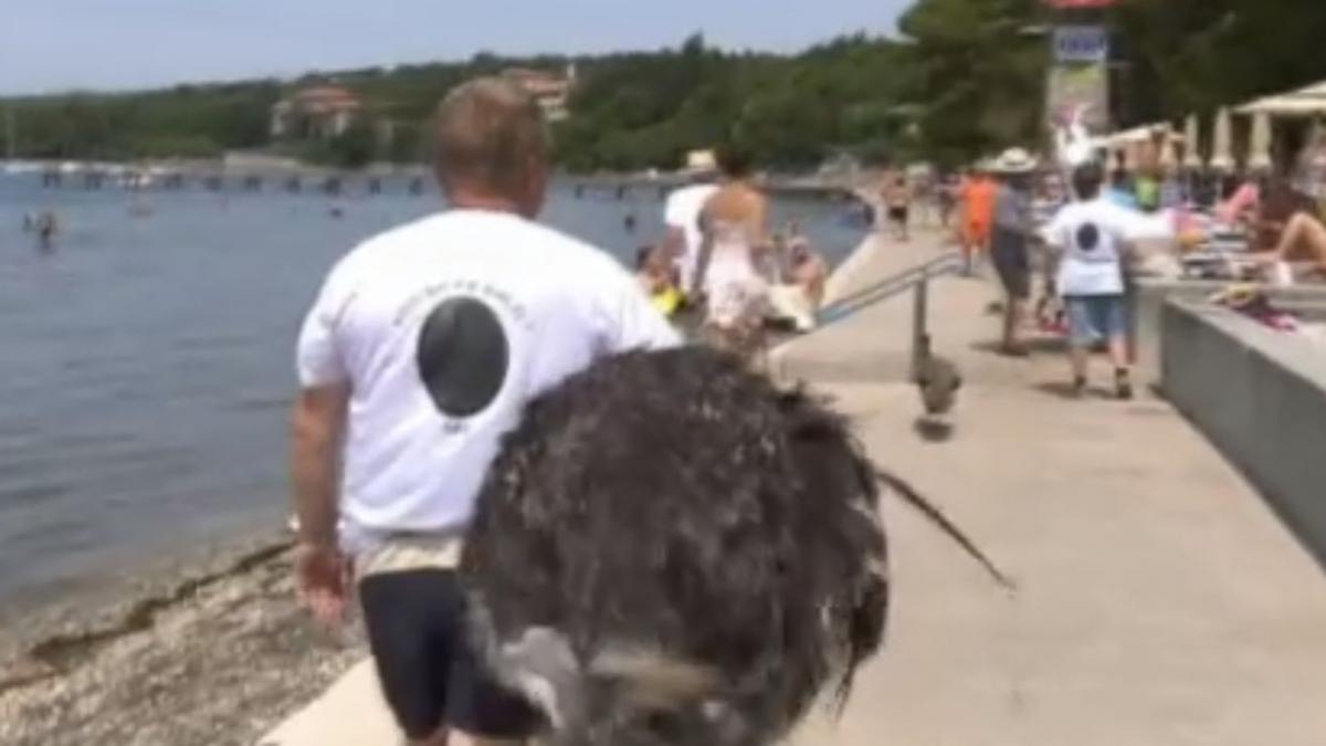 aparitie inedita pe o plaja oamenii au incremenit pret de cateva secunde apoi au vrut sa faca poze