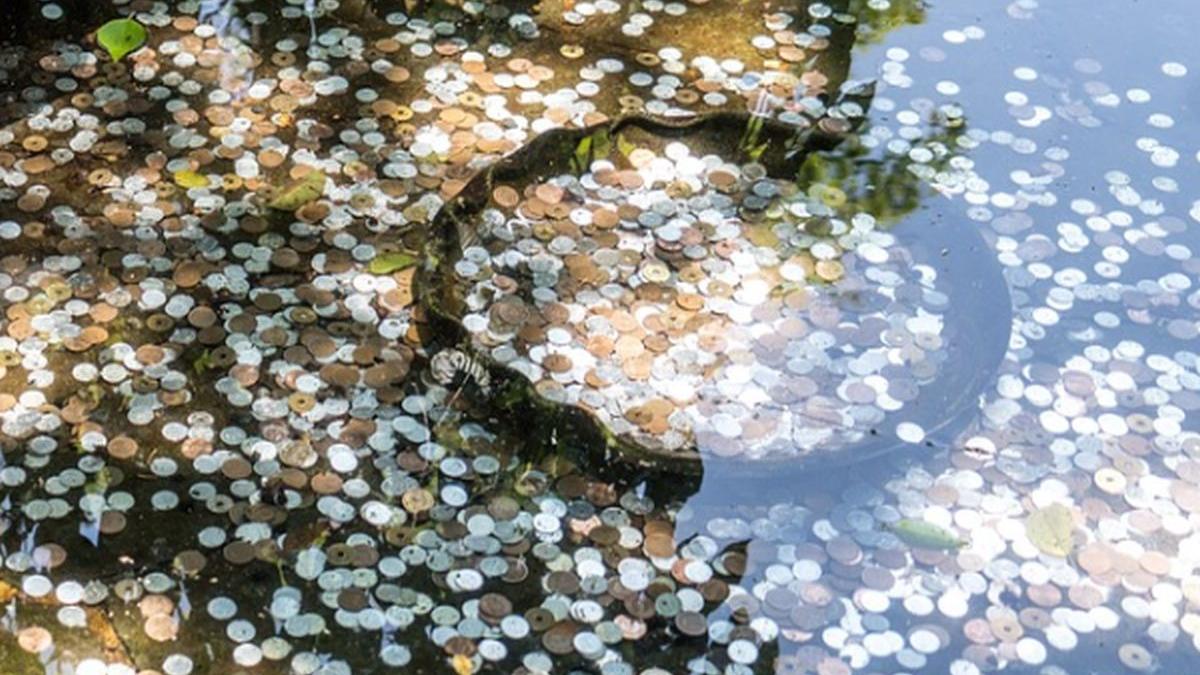 tanar prins in timp ce fura banii de dorinte din fantana de la manastirea cozia