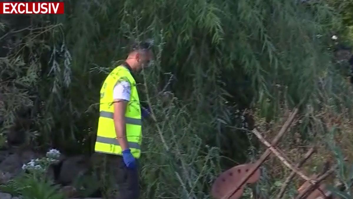 tatal unei fete disparute de 20 de ani sa mi gaseasca copilul cine ne aduce noua fetele inapoi