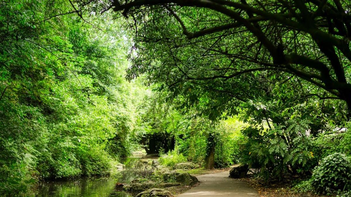 un barbat s a spanzurat intr un parc din satu mare motivul pentru care martorii n au sunat la 112