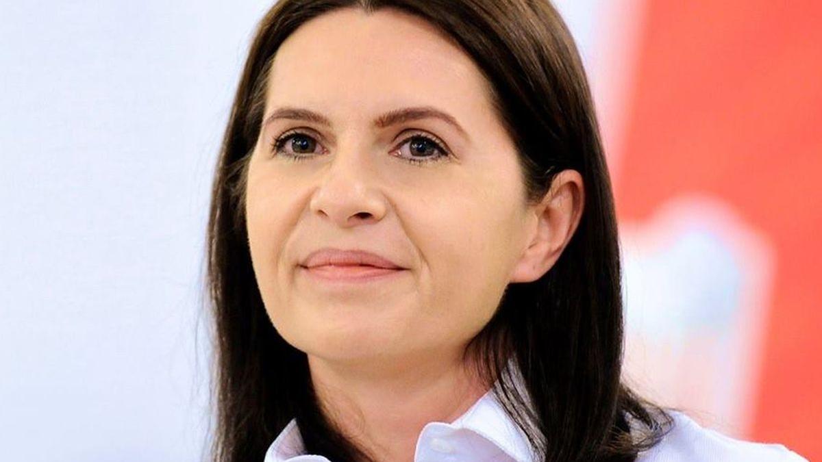 adriana saftoiu pnl solicitare la camera deputatilor comisie care sa investigheze toate cazurile de