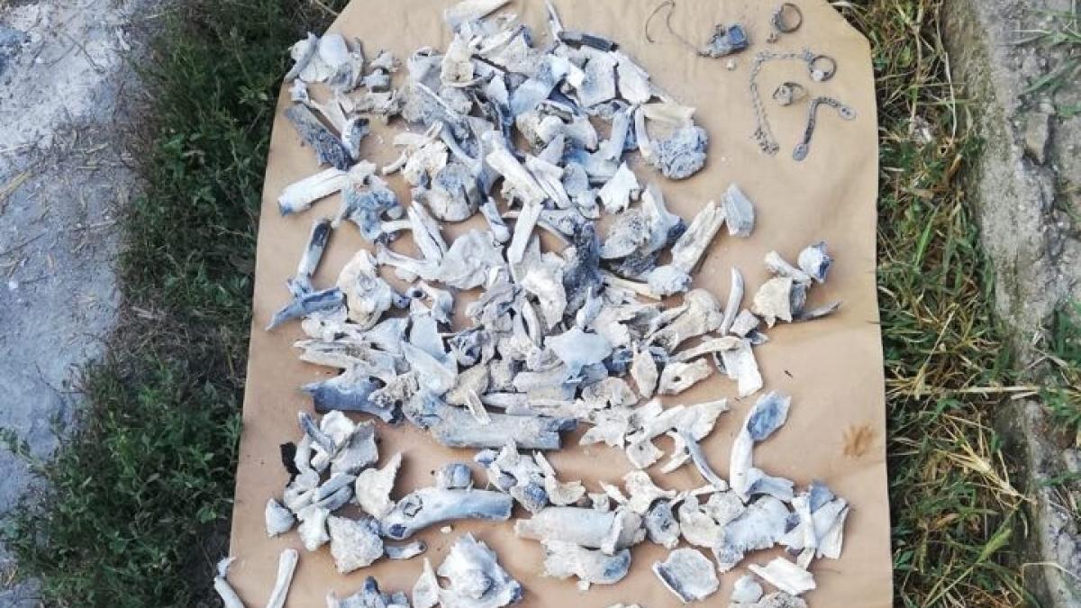 exclusiv surse din ancheta oasele gasite in casa lui gheorghe dinca sunt ale unei fetite cu varsta