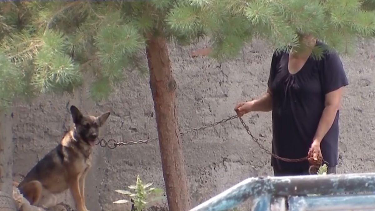 ce se intampla dincolo de gardurile locuintei lui gheorghe dinca imagini actuale de la locul