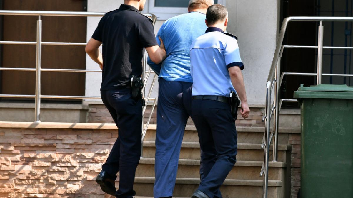 gheorghe dinca marturie soc la inml politistii l au batut trei ore pe corp nu avea semne de violenta