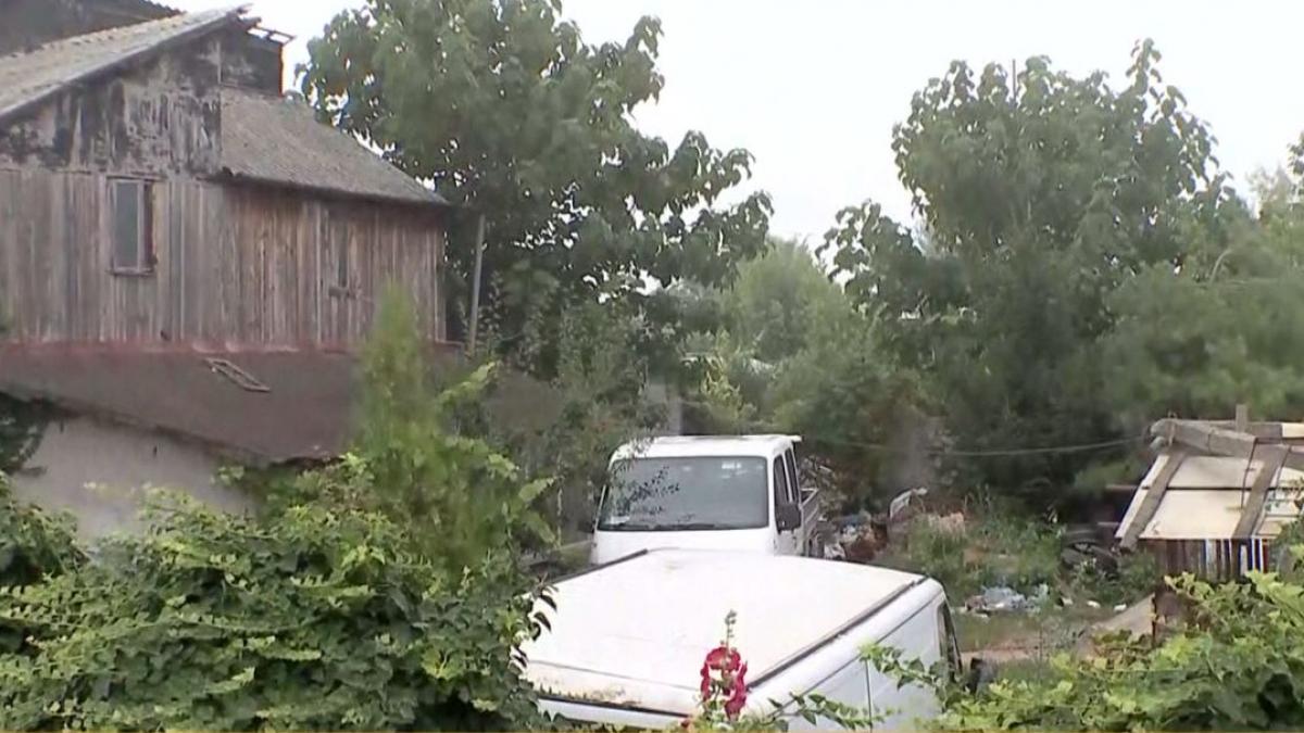 noi imagini in exclusivitate din curtea lui gheorghe dinca