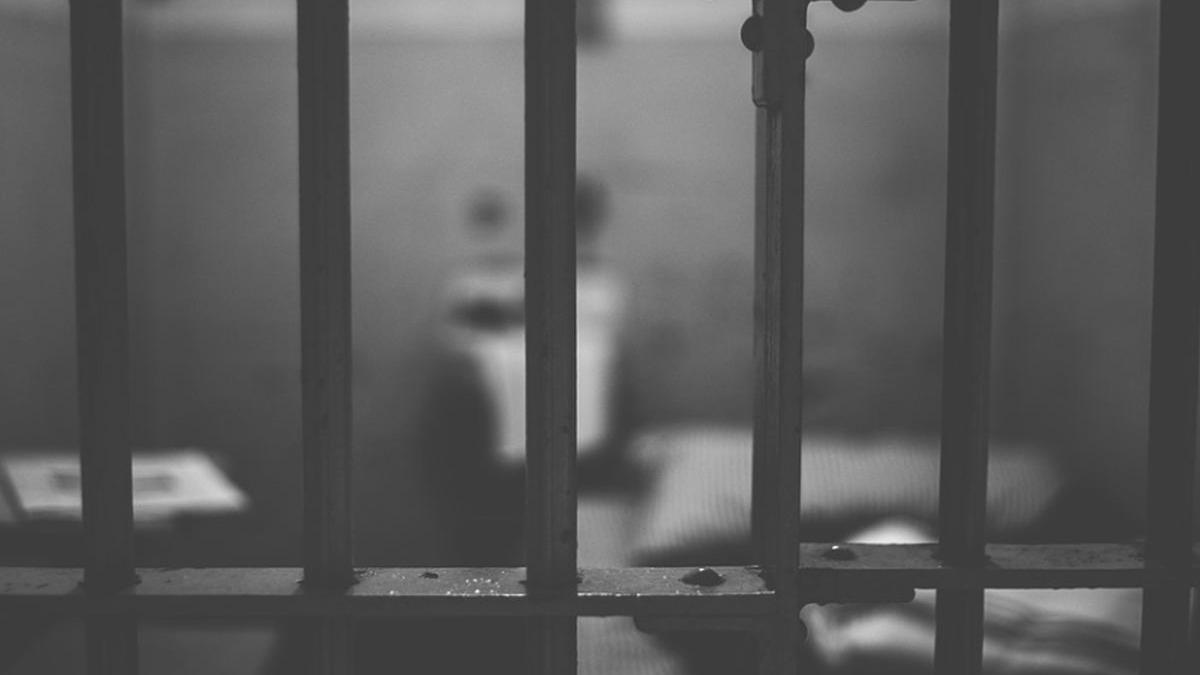 aproape 19 000 de infractori au fost eliberati in baza legii recursului compensatoriu cati detinuti