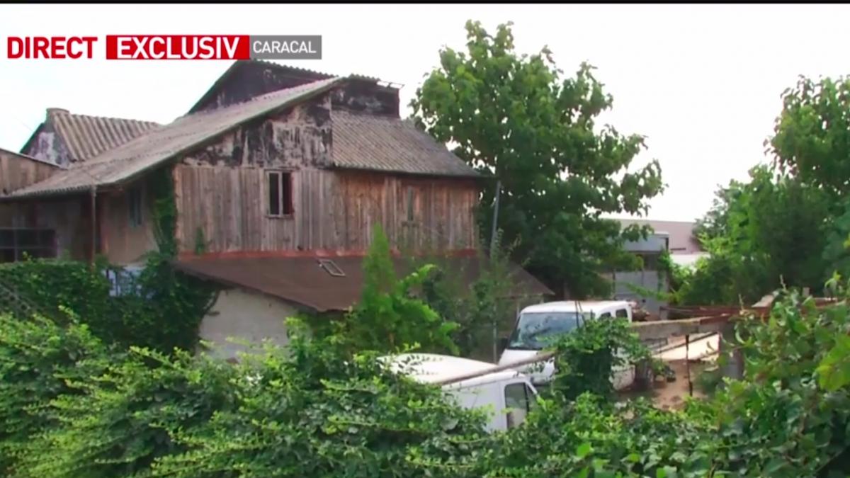 experimentul soc propus de avocatul familiei luizei melencu sa se ia un animal de aceeasi talie cu