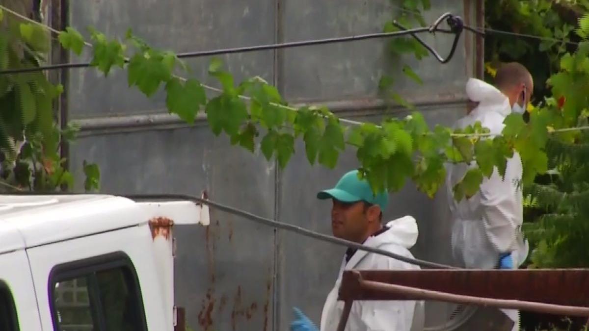 gheorghe dinca a fost adus din nou la perchezitii imagini din curtea criminalului video