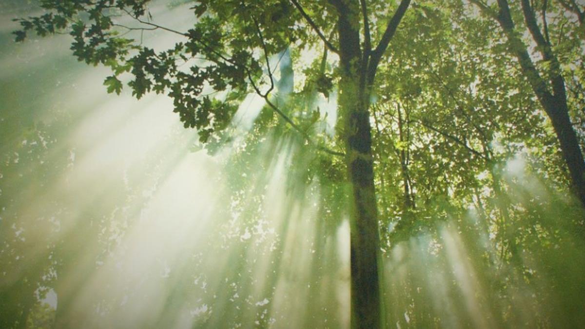 vremea se incalzeste usor cum vor evolua temperaturile