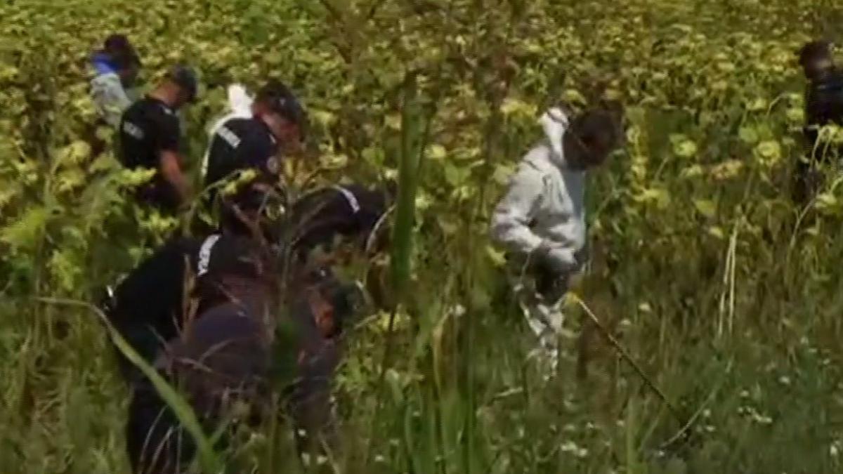 noi cautari in cazul monstrului din caracal anchetatorii cauta telefonul luizei intr un lan de