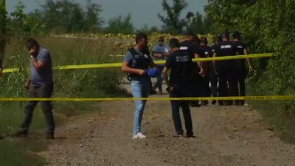 primele imagini din padurea unde s au gasit oasele despre care se spun ca sunt ale luizei melencu